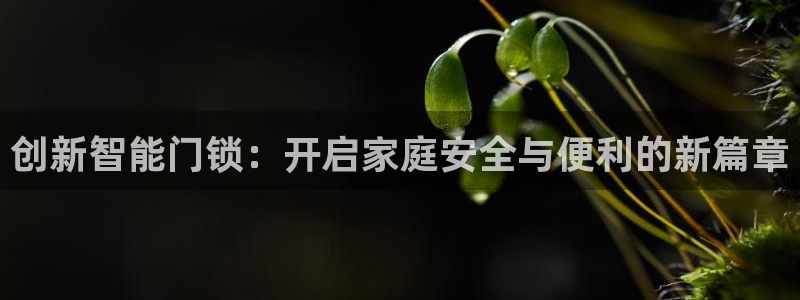 利记官网香菜1：创新智能门锁：开启家庭安全与便利的新篇章