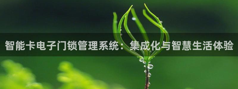 利记坊官网注册账号：智能卡电子门锁管理系统：集成化与智慧生活