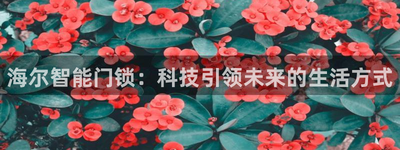 利记坊平台唯一官网：海尔智能门锁：科技引领未来的生活方式