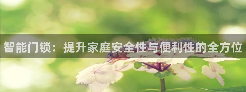 利记体育投注官网：智能门锁：提升家庭安全性与便利性的全方位
