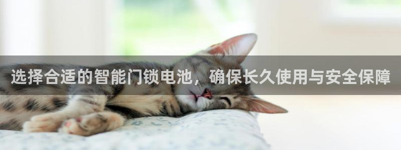 利记科技有限公司官网：选择合适的智能门锁电池，确保长久使用与