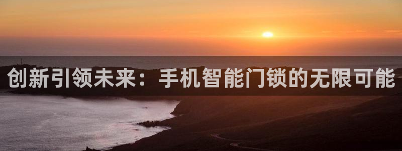 利记彩票网网址官网hd71：创新引领未来：手机智能门锁的无限