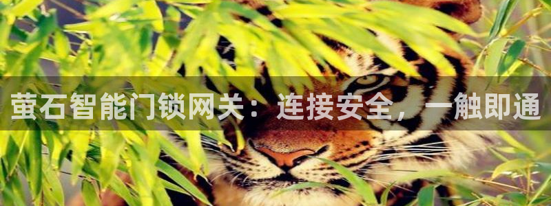 利记彩票官网：萤石智能门锁网关：连接安全，一触即通