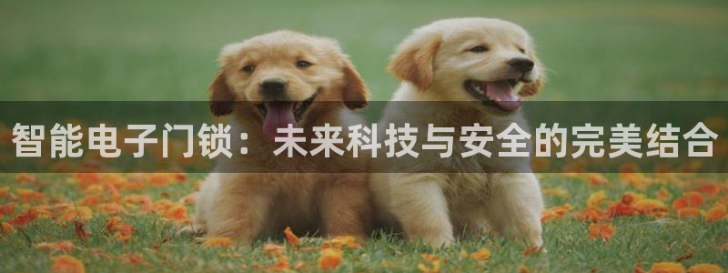 利记集团官网：智能电子门锁：未来科技与安全的完美结合