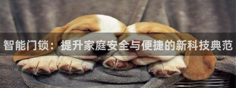 利记国际有限公司官网：智能门锁：提升家庭安全与便捷的新科技典
