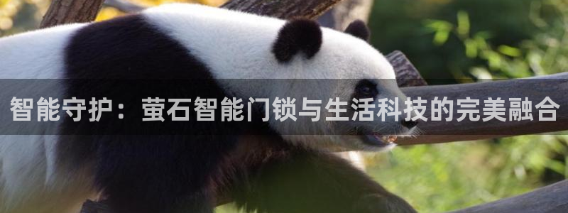 利记官网多少：智能守护：萤石智能门锁与生活科技的完美融合