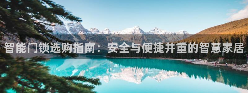 利记体育投注官网：智能门锁选购指南：安全与便捷并重的智慧家居