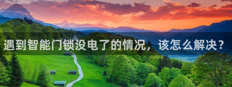 利记sbobet官网电脑版：遇到智能门锁没电了的情况，该怎么