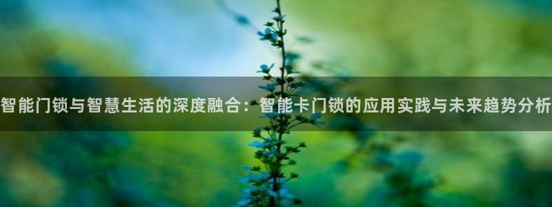利记游戏开户ysb体育官方官网：智能门锁与智慧生活的深度融合
