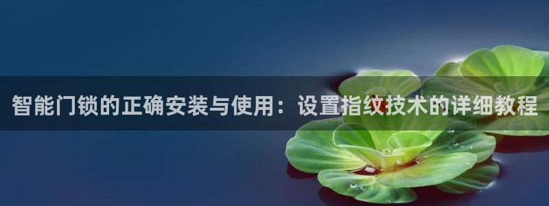 利记官网app下载网址日博官网网址：智能门锁的正确安装与使用