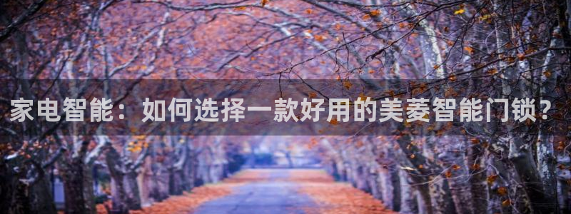 利记彩票平台官网：家电智能：如何选择一款好用的美菱智能门锁？