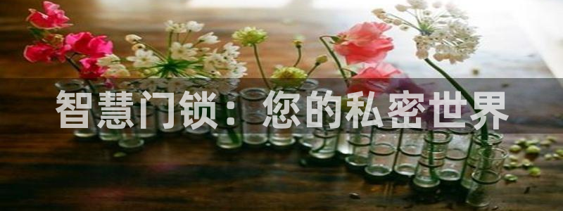 利记平台官网首页：智慧门锁：您的私密世界