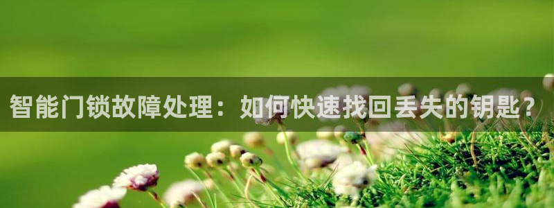 利记官网香菜1：智能门锁故障处理：如何快速找回丢失的钥匙？