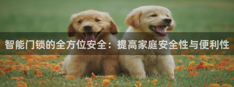 利记正式官网：智能门锁的全方位安全：提高家庭安全性与便利性