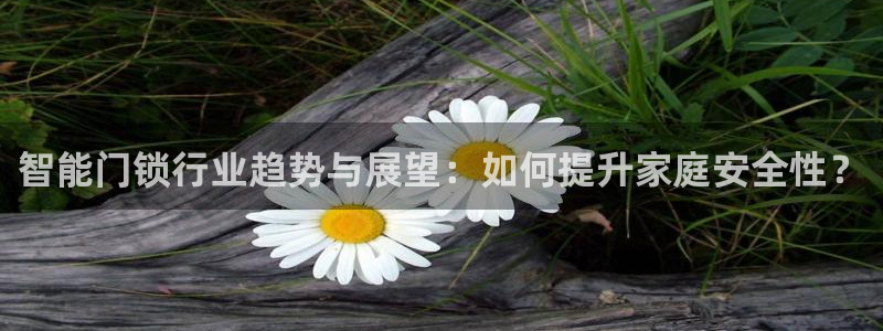 万利记官网电话：智能门锁行业趋势与展望：如何提升家庭安全性？