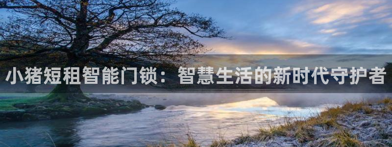 利记官网是什么：小猪短租智能门锁：智慧生活的新时代守护者