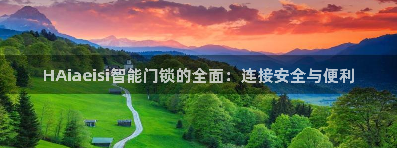 利记信誉官网：HAiaeisi智能门锁的全面：连接安全与便利