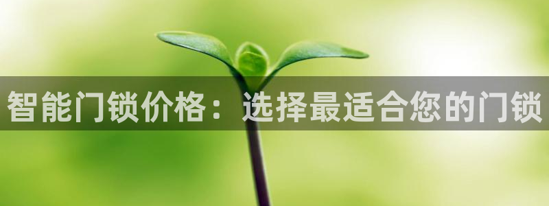 利记坊官网注册账号申请：智能门锁价格：选择最适合您的门锁