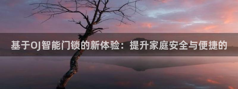 利记国际线址官网：基于OJ智能门锁的新体验：提升家庭安全与便