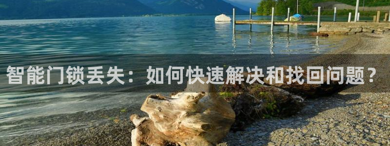 利记官网平台入口：智能门锁丢失：如何快速解决和找回问题？