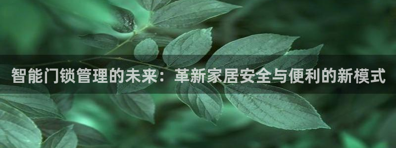 利记彩票网网址官网hd71：智能门锁管理的未来：革新家居安全