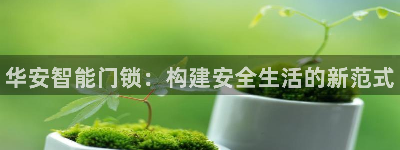 利记官网app下载：华安智能门锁：构建安全生活的新范式