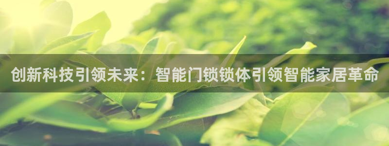 利记游戏官网：创新科技引领未来：智能门锁锁体引领智能家居革命