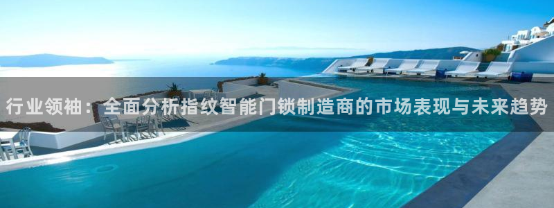 利记官网多少：行业领袖：全面分析指纹智能门锁制造商的市场表现