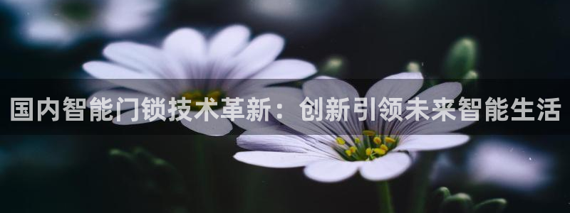 利记彩票网网址官网hd71：国内智能门锁技术革新：创新引领未
