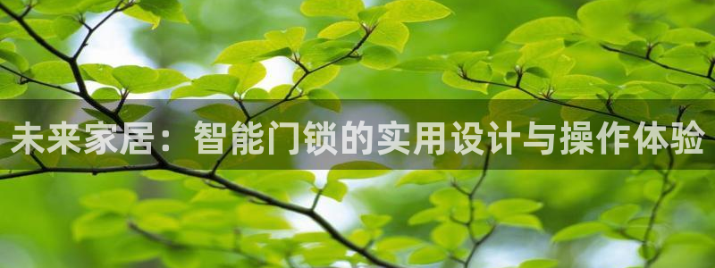 利记官网开户：未来家居：智能门锁的实用设计与操作体验