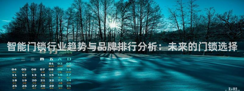 利记二手车行官网：智能门锁行业趋势与品牌排行分析：未来的门锁