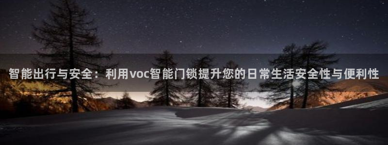 利记官网会员登录：智能出行与安全：利用voc智能门锁提升您的