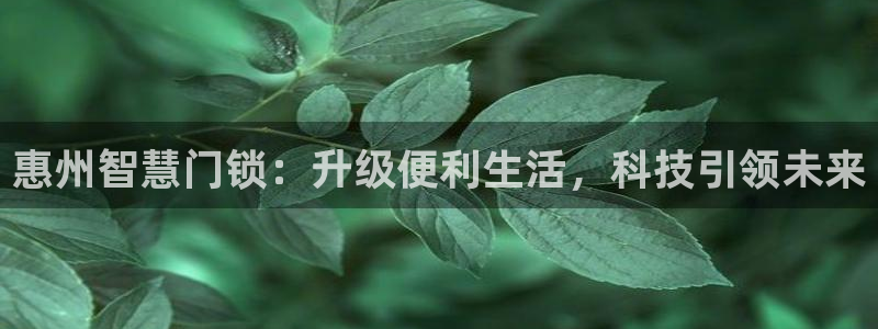 利记官网注册：惠州智慧门锁：升级便利生活，科技引领未来