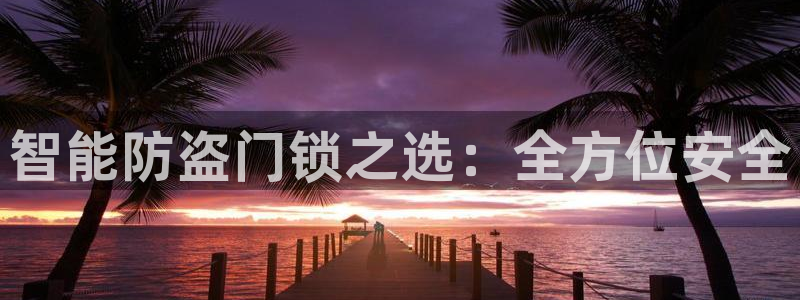 利记网址注册官网：智能防盗门锁之选：全方位安全