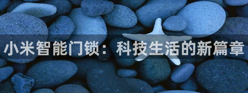 利记官网葡京投注网址：小米智能门锁：科技生活的新篇章