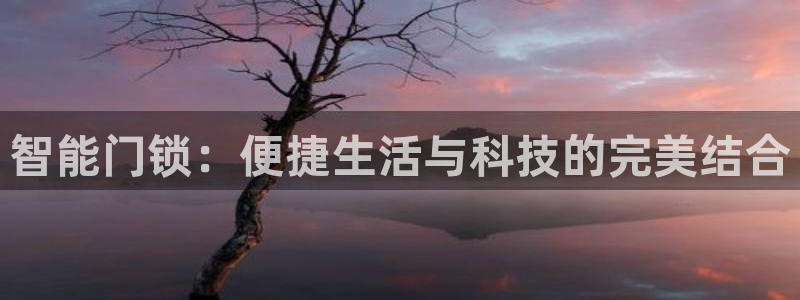 利记官网注册网：智能门锁：便捷生活与科技的完美结合