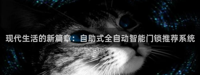 利记官网注册：现代生活的新篇章：自助式全自动智能门锁推荐系统