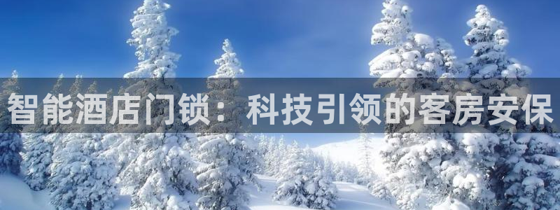 利记app官网：智能酒店门锁：科技引领的客房安保