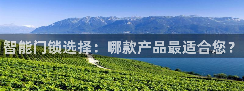 利记足球官网：智能门锁选择：哪款产品最适合您？