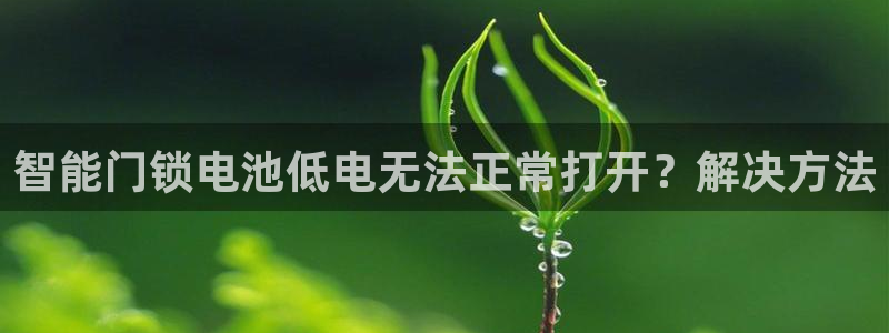 利记官网注册网：智能门锁电池低电无法正常打开？解决方法