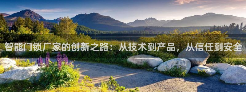 利记官网多少：智能门锁厂家的创新之路：从技术到产品，从信任到