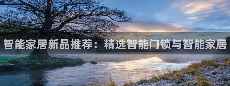 利记科技有限公司官网：智能家居新品推荐：精选智能门锁与智能家
