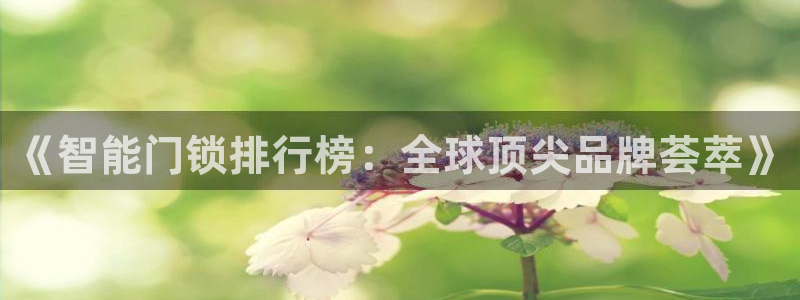 利记手机官网入口：《智能门锁排行榜：全球顶尖品牌荟萃》