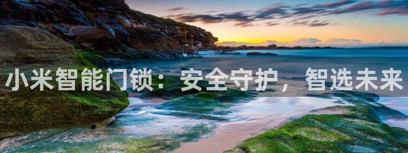利记官网葡京投注网址：小米智能门锁：安全守护，智选未来