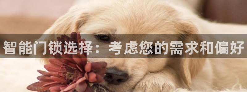 香港利记集团官网：智能门锁选择：考虑您的需求和偏好