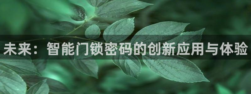 利记app官方官网登录：未来：智能门锁密码的创新应用与体验