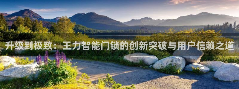 利记网址注册官网：升级到极致：王力智能门锁的创新突破与用户信