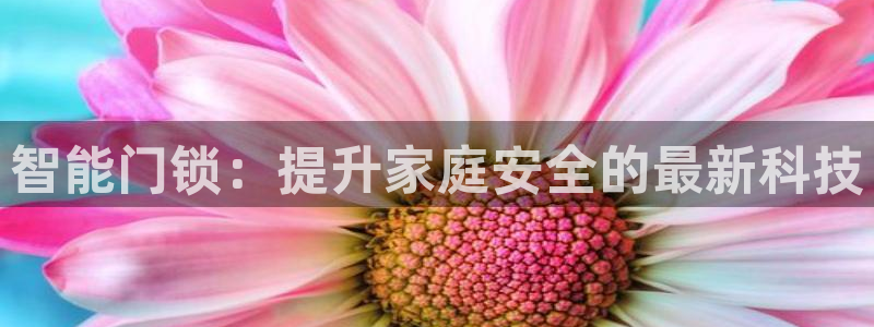 利记官网是多少：智能门锁：提升家庭安全的最新科技
