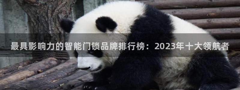 利记国际线址官网：最具影响力的智能门锁品牌排行榜：2023年