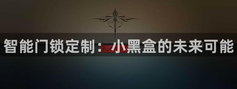 利记国际线址官网：智能门锁定制：小黑盒的未来可能